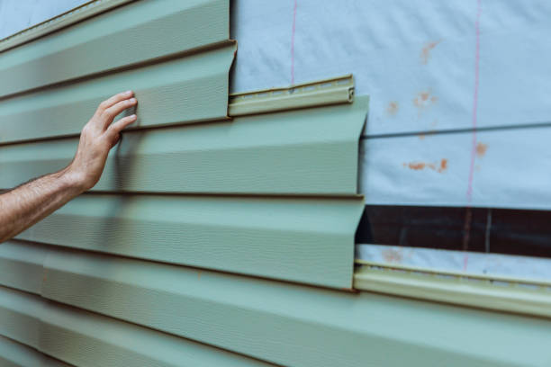 Best Siding for Commercial Buildings  in Traer, IA